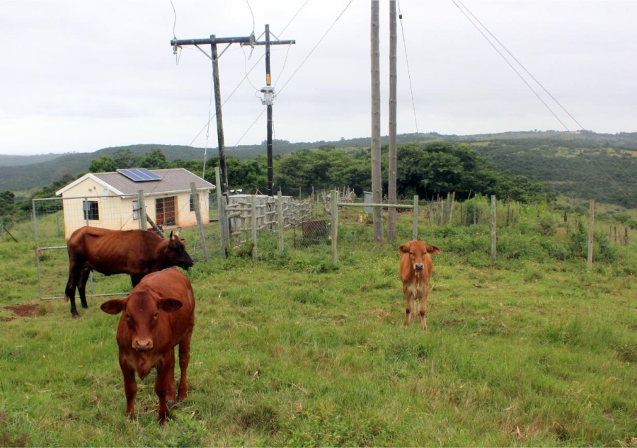 Commercial Property for Sale in East London Rural Eastern Cape